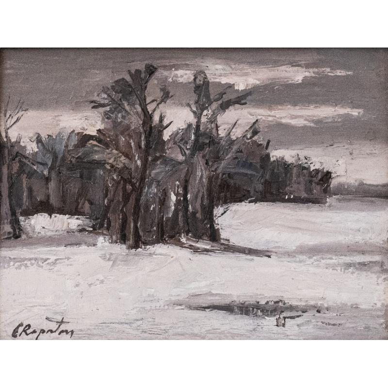 Peisaj de iarnă - Eugen Raportoru