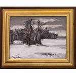 Peisaj de iarnă - Eugen Raportoru