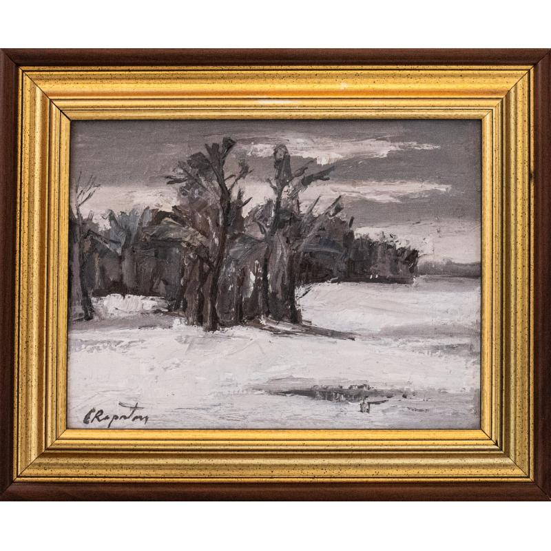Peisaj de iarnă - Eugen Raportoru