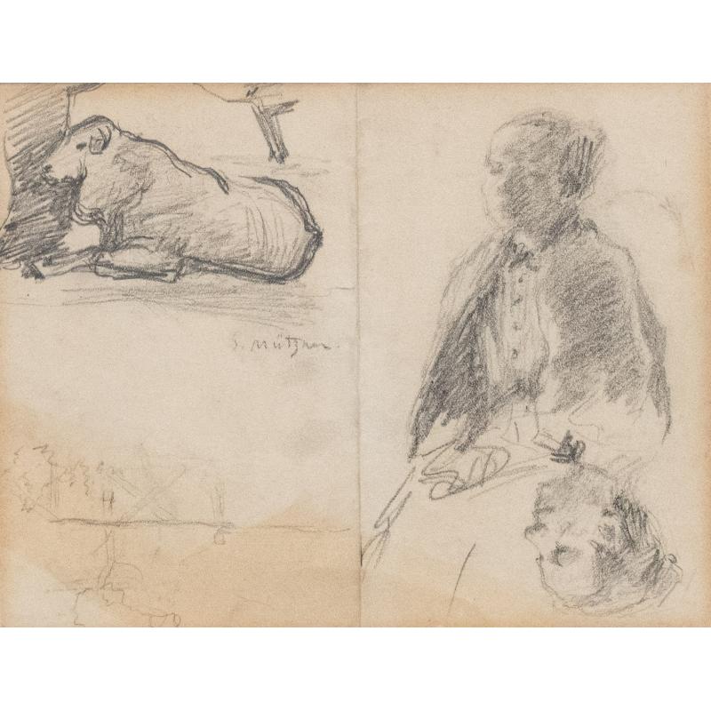 Studii - Samuel Mutzner