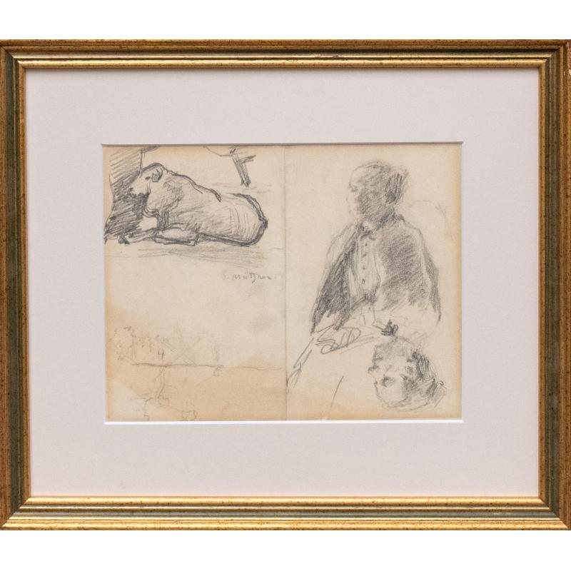 Studii - Samuel Mutzner