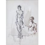 Nuduri - Viorel Nimigeanu