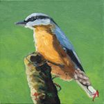 Țicleanul - Alexandru Talpiga