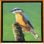 Țicleanul - Alexandru Talpiga