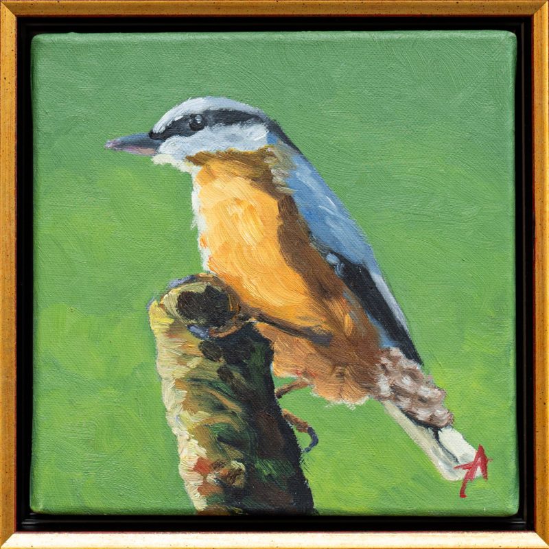 Țicleanul - Alexandru Talpiga