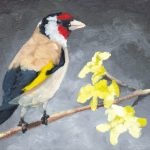 Sticlete cu flori - Alexandru Talpiga