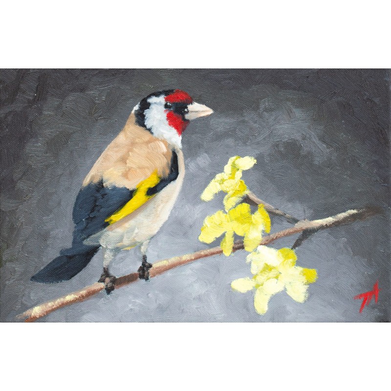 Sticlete cu flori - Alexandru Talpiga