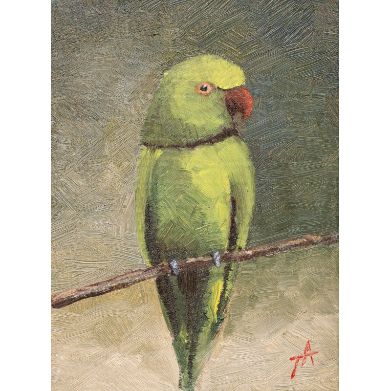 Papagal III - Alexandru Talpiga