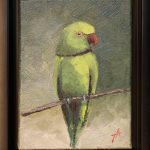 Papagal III - Alexandru Talpiga