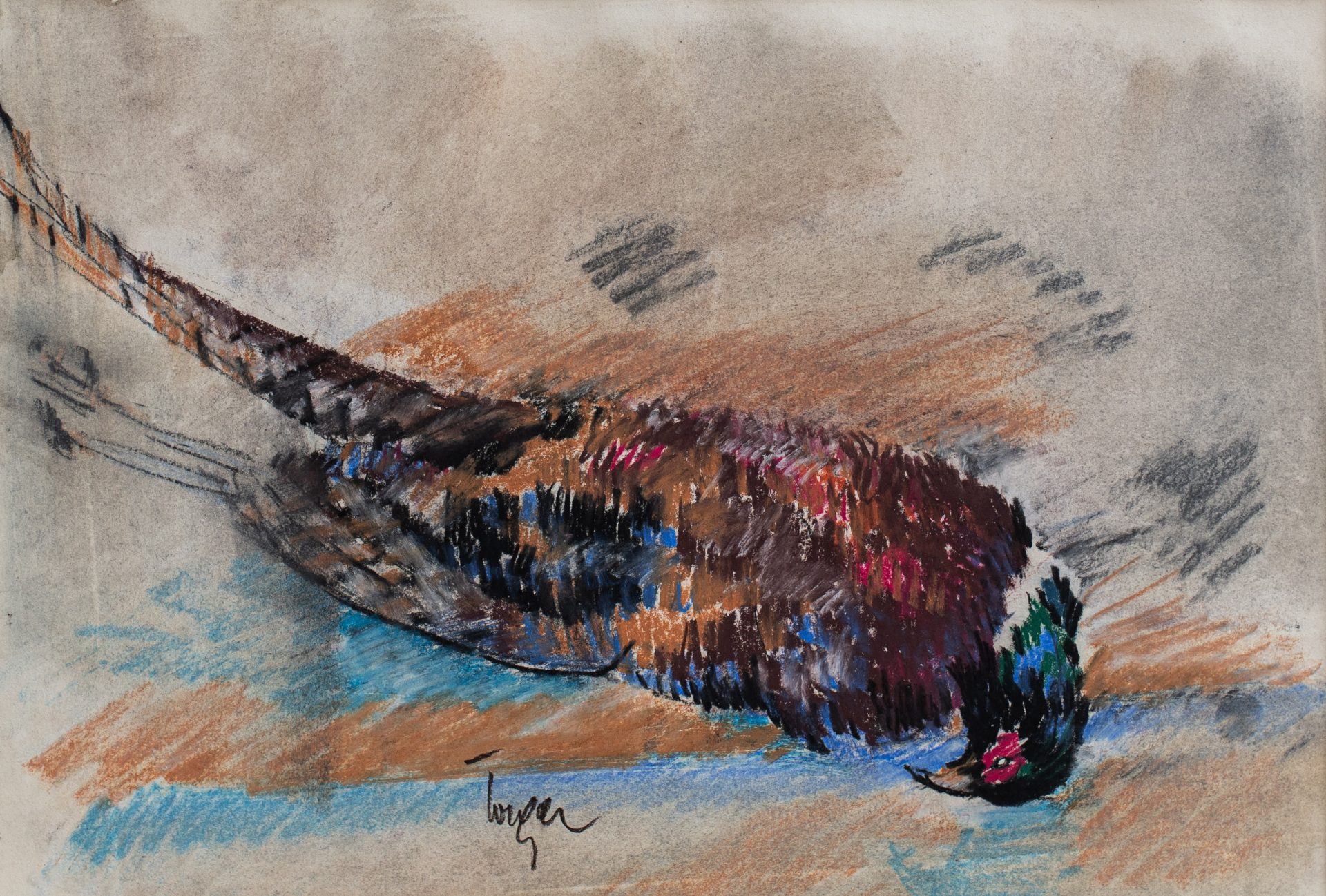 Fazanul lui Fontanela - Neculai Iorga Fazanul lui Fontanela - Neculai Iorga