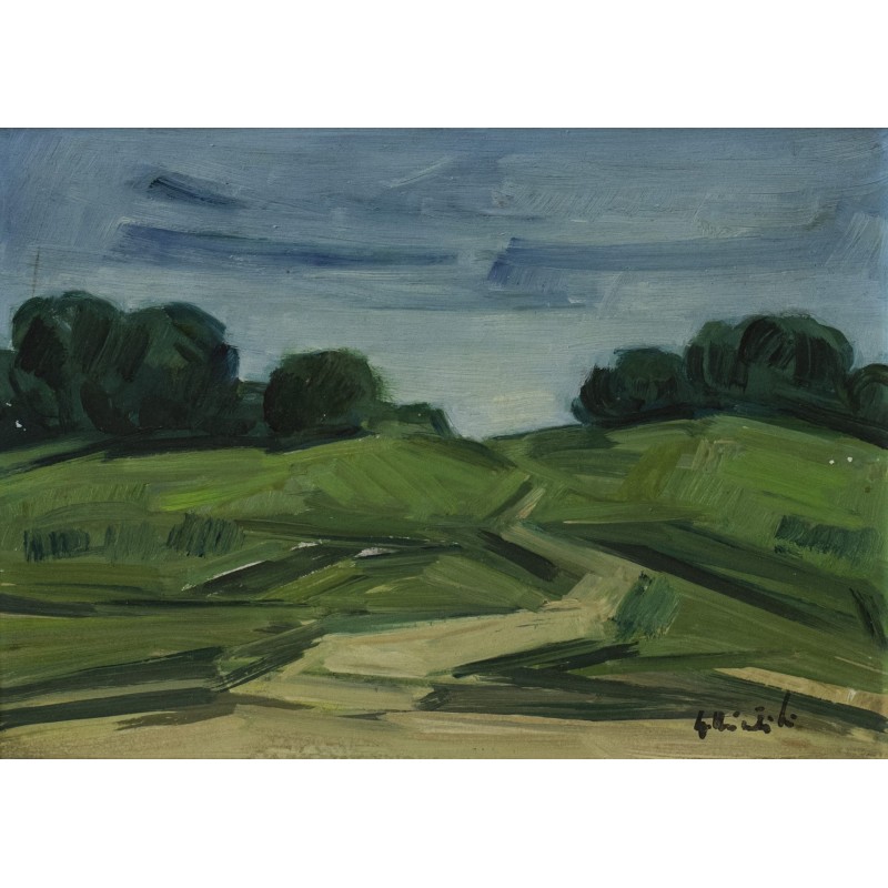 Peisaj în Mușcel - Spiru Chintilă