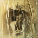 Reflexii - Nicolae Maniu