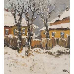 Iarnă - Nicolae Blei