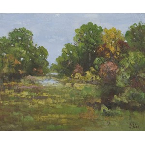 Crâng - Nicolae Blei
